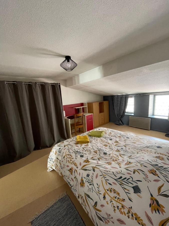 Appartement Cosy Rue Chaussee Verdun-sur-Meuse Eksteriør billede