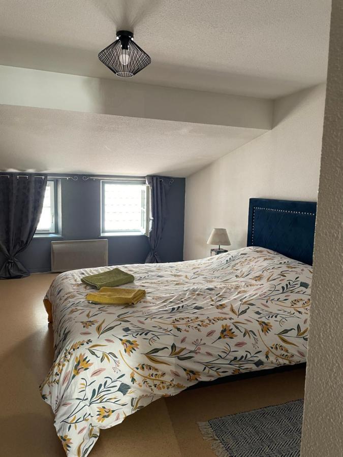 Appartement Cosy Rue Chaussee Verdun-sur-Meuse Eksteriør billede